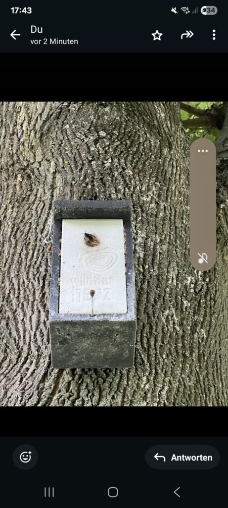 Primärnest – 21.07.2025
