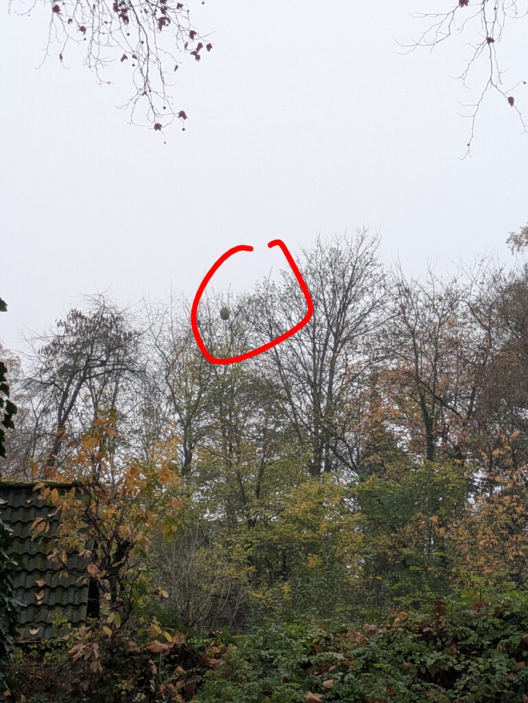 Sichtung – 13.11.2025