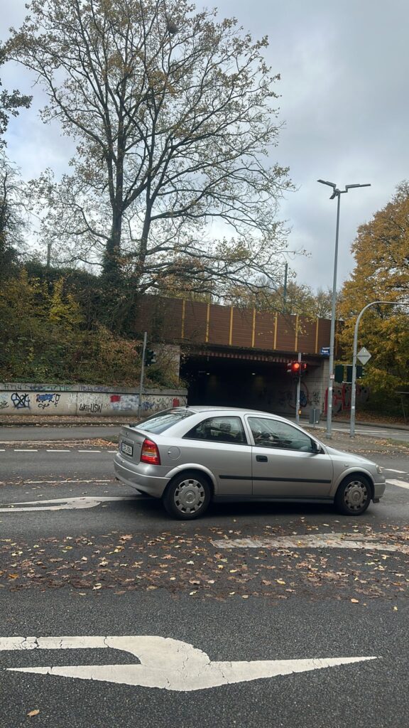 Nestentfernung – 08.11.2025