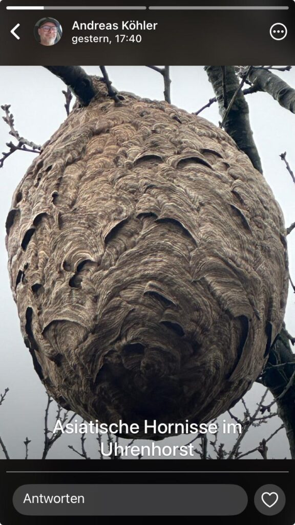 Sichtung – 20.11.2025