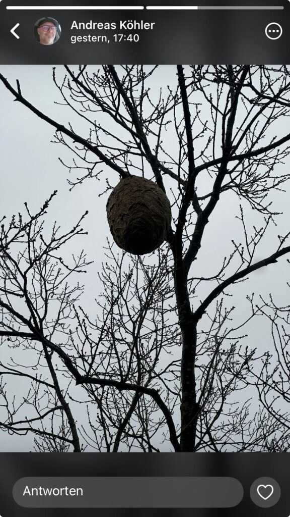 Sichtung – 20.11.2025