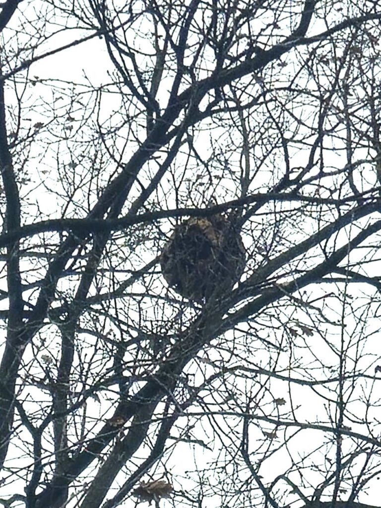 Sichtung – 09.12.2025