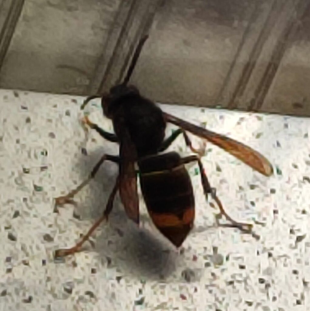 Sichtung – 23.03.2026