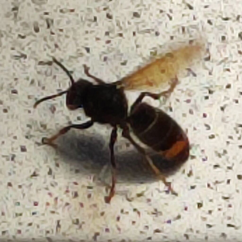 Sichtung – 23.03.2026