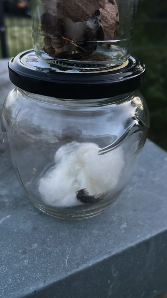 Nestentfernung – 24.04.2026