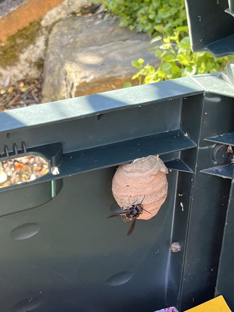 Sichtung – 08.04.2026