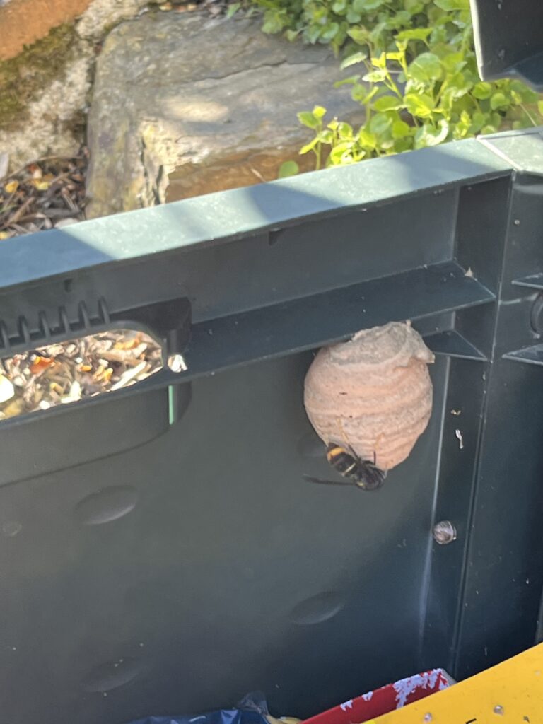 Sichtung – 08.04.2026