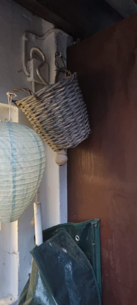 Nestentfernung – 09.04.2026