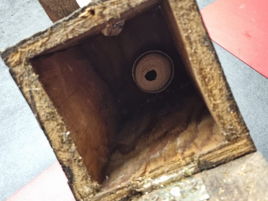 Nestentfernung – 12.04.2026