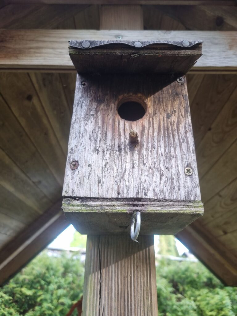 Nestentfernung – 12.04.2026