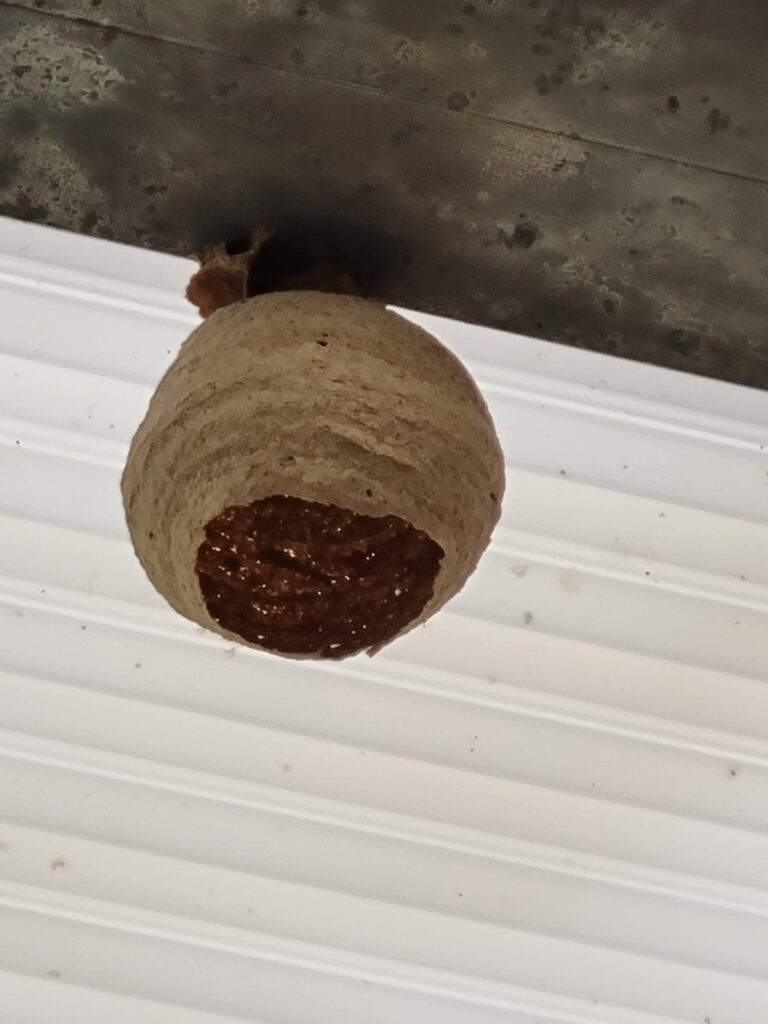 Sichtung – 16.04.2026