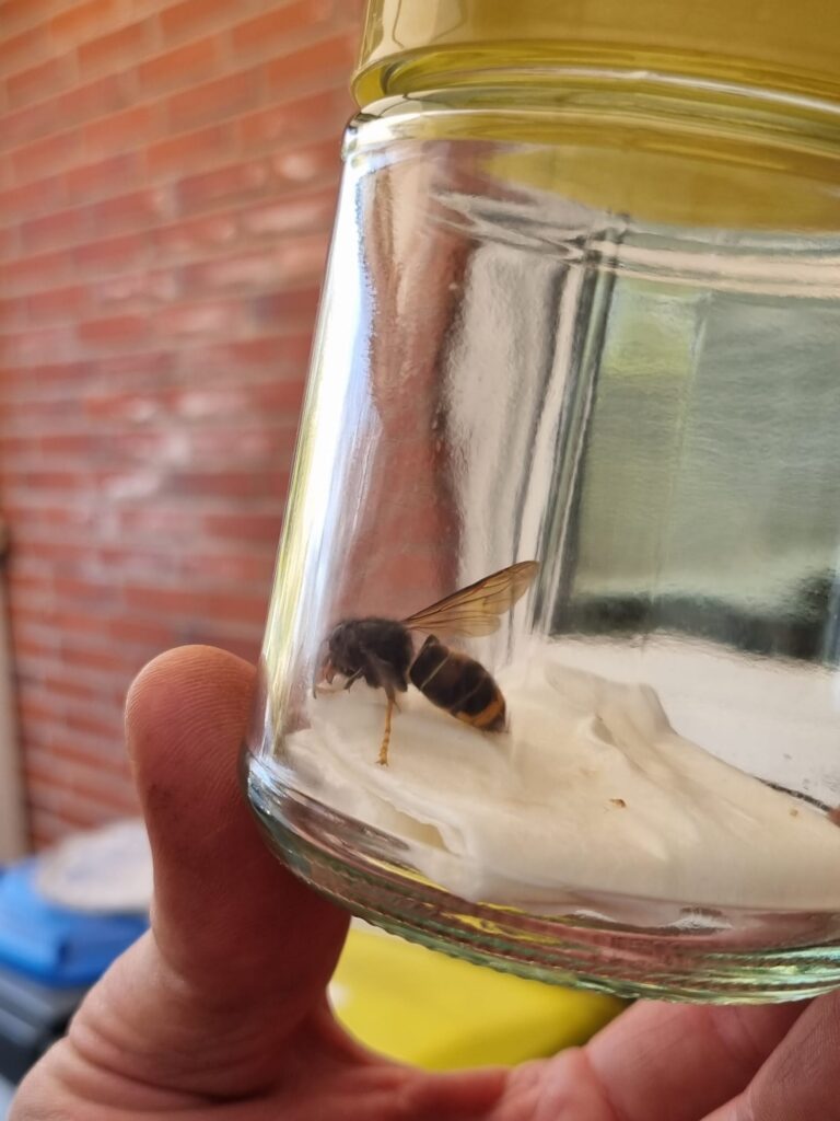 Sichtung – 16.04.2026