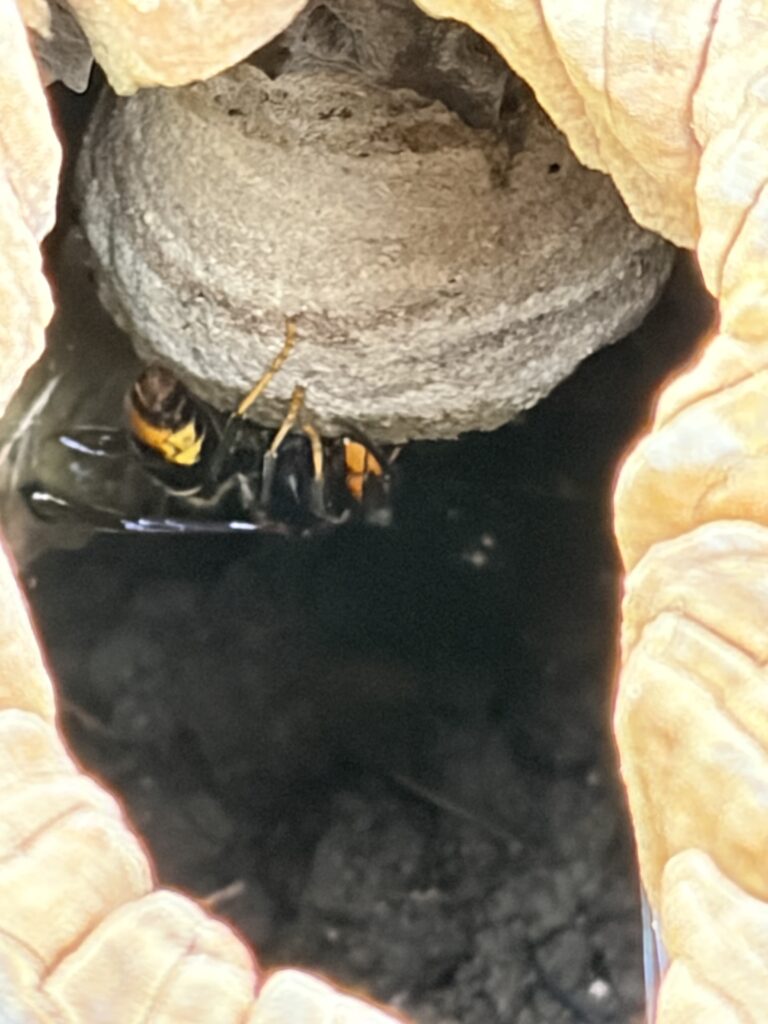 Sichtung – 18.04.2026