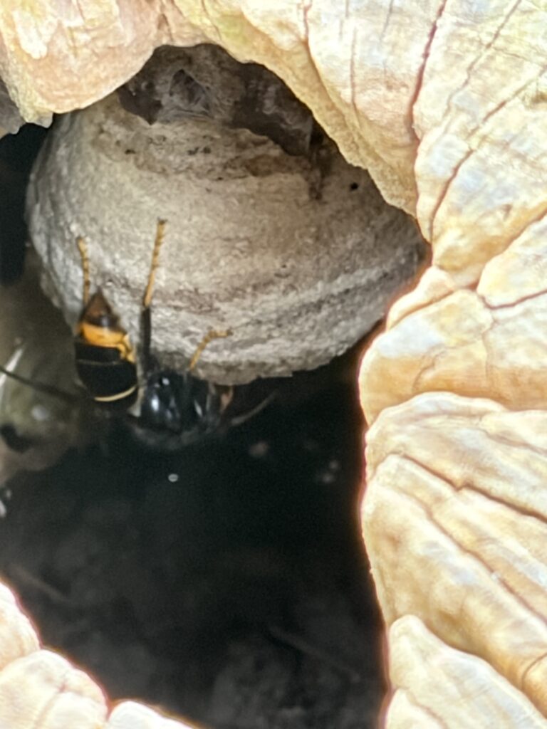 Sichtung – 18.04.2026