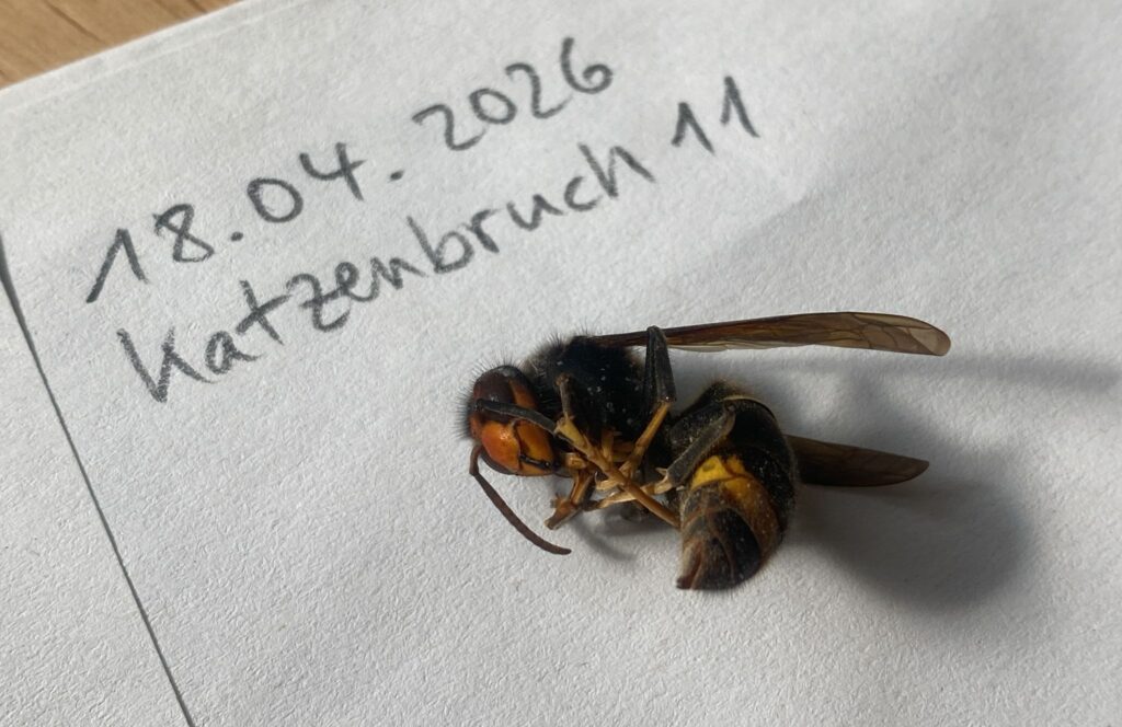 Sichtung – 18.04.2026