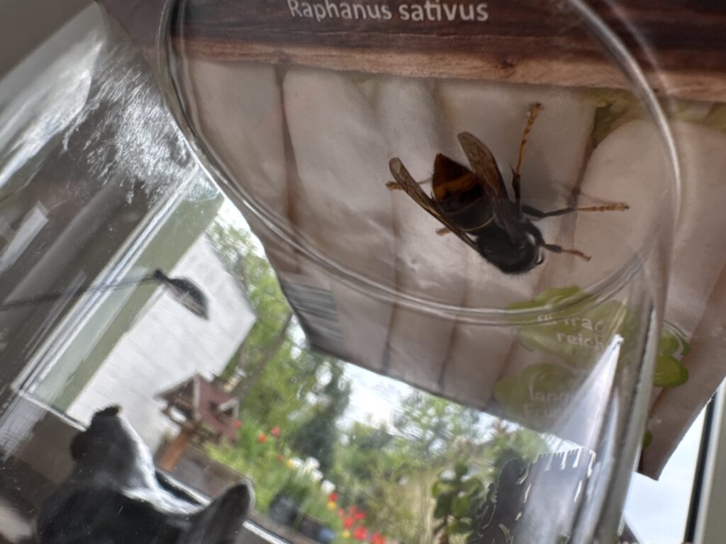 Sichtung – 18.04.2026