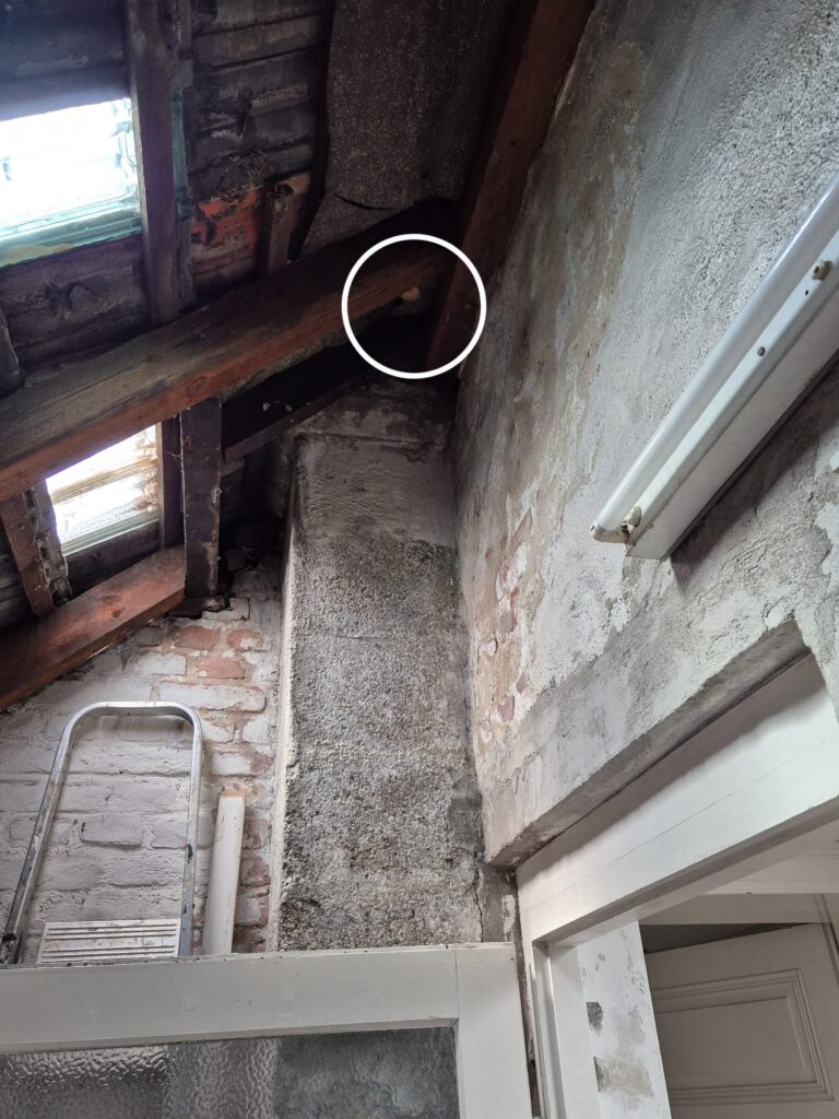 Sichtung – 19.04.2026