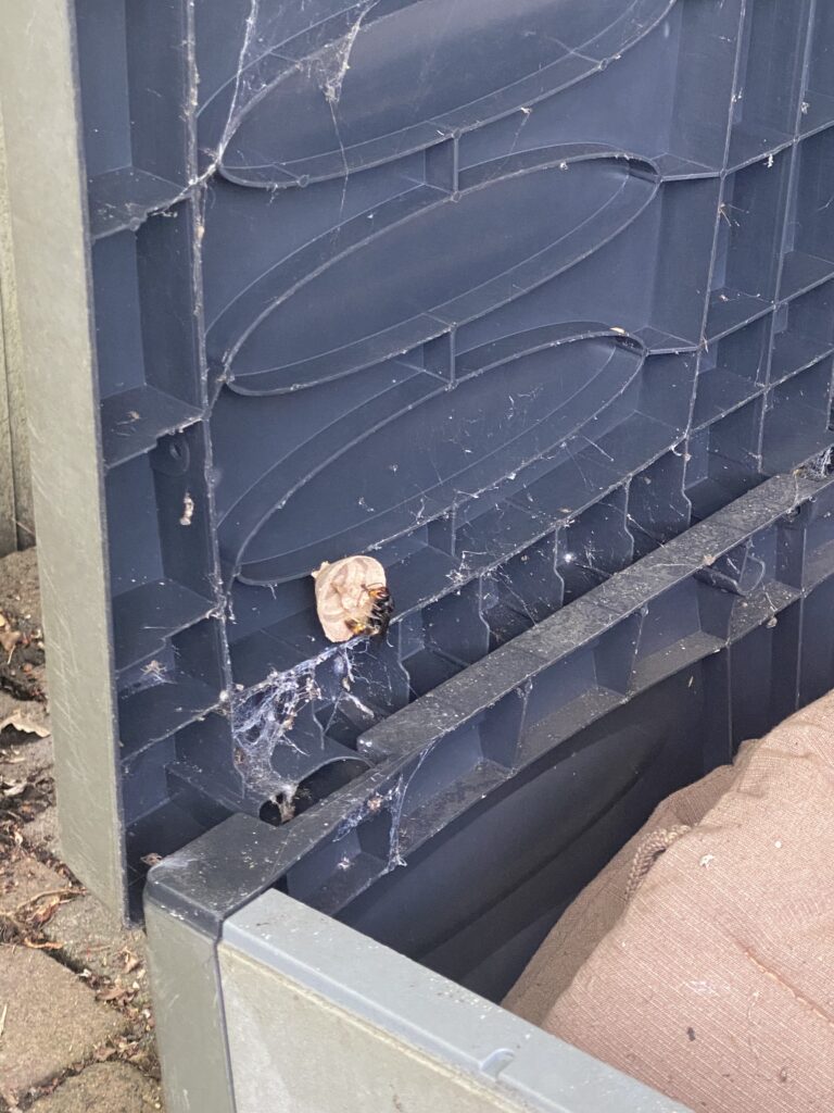 Sichtung – 20.04.2026