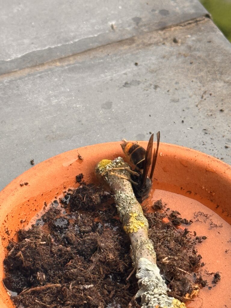 Sichtung – 22.04.2026