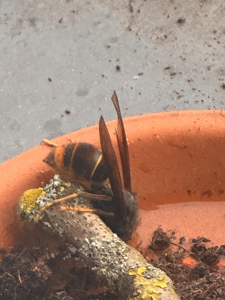 Sichtung – 22.04.2026