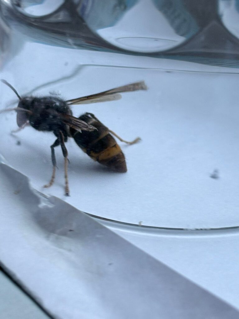 Sichtung – 23.04.2026