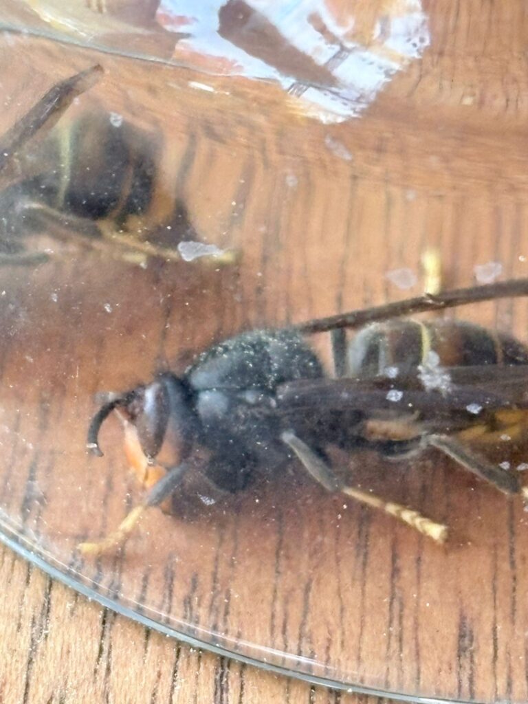 Sichtung – 23.04.2026