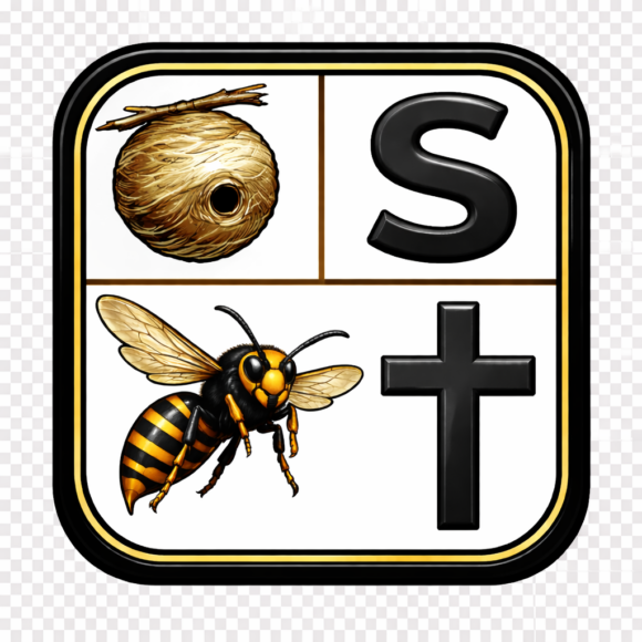 Vespa_Velutina_Sekundärnest_entfernt_2025