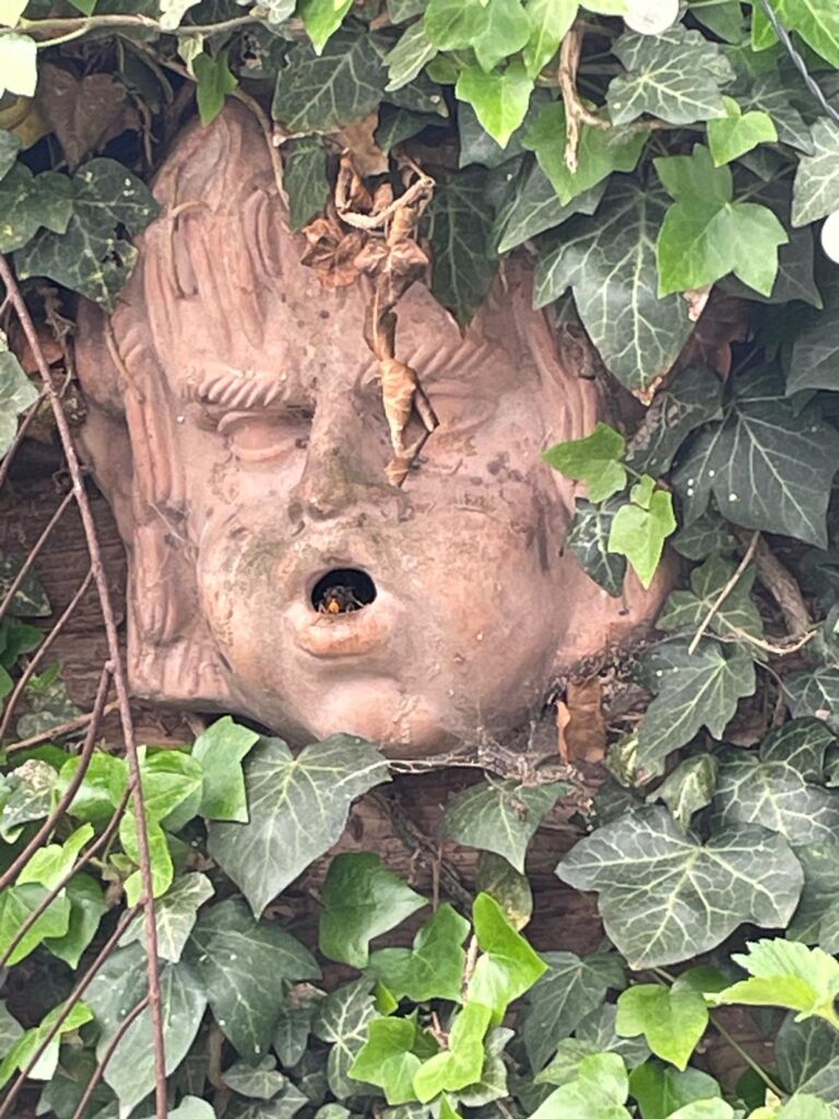 Nestentfernung – 02.05.2026/14.05.2026
