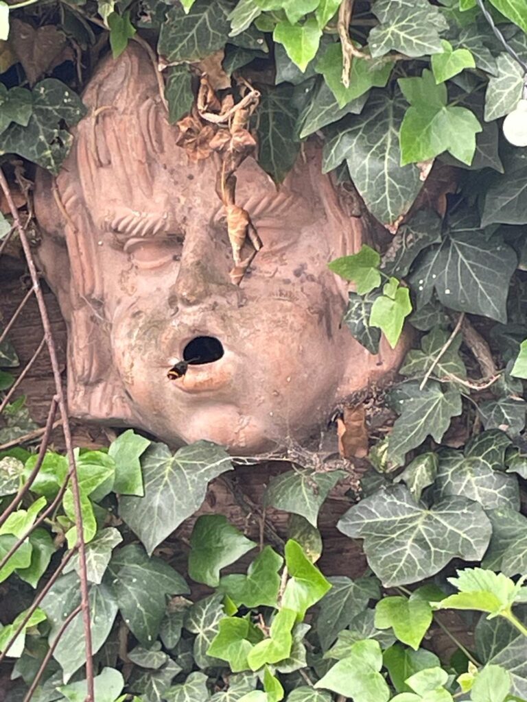 Nestentfernung – 02.05.2026/14.05.2026