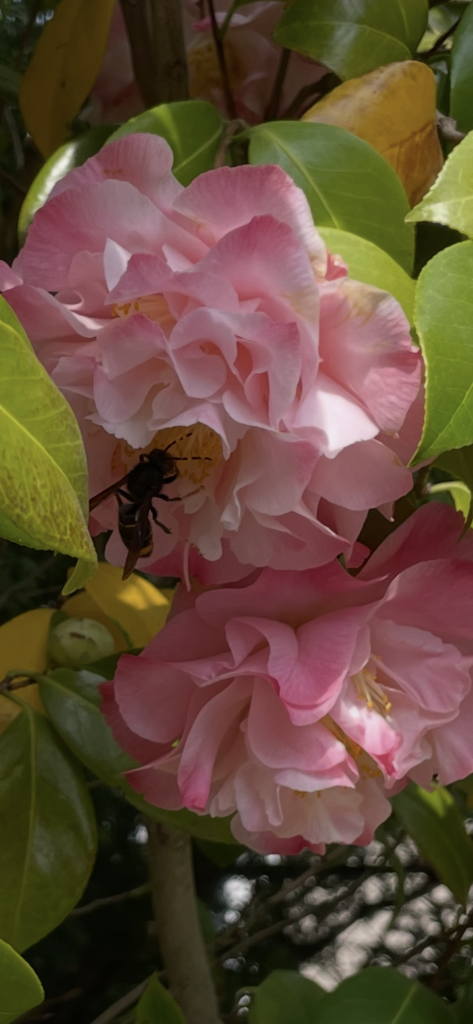Sichtung – 04.05.2026