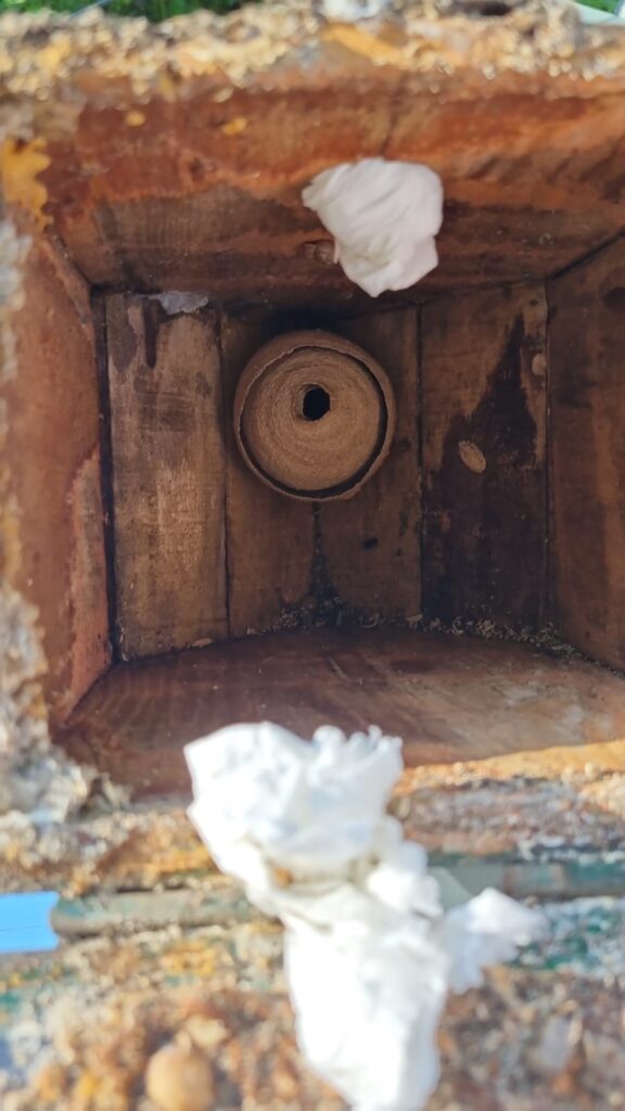 Nestentfernung – 04.05.2026