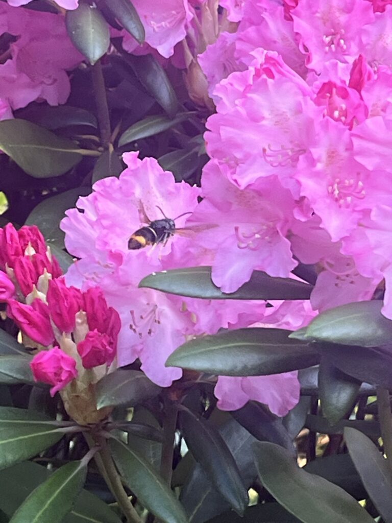 Sichtung – 14.05.2026
