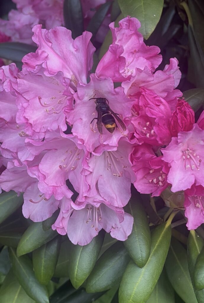 Sichtung – 14.05.2026