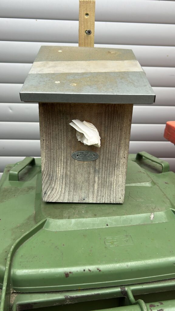 Nestentfernung – 18.05.2026