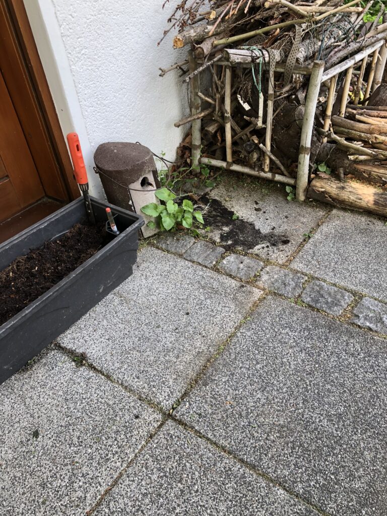 Nestentfernung – 19.05.2026