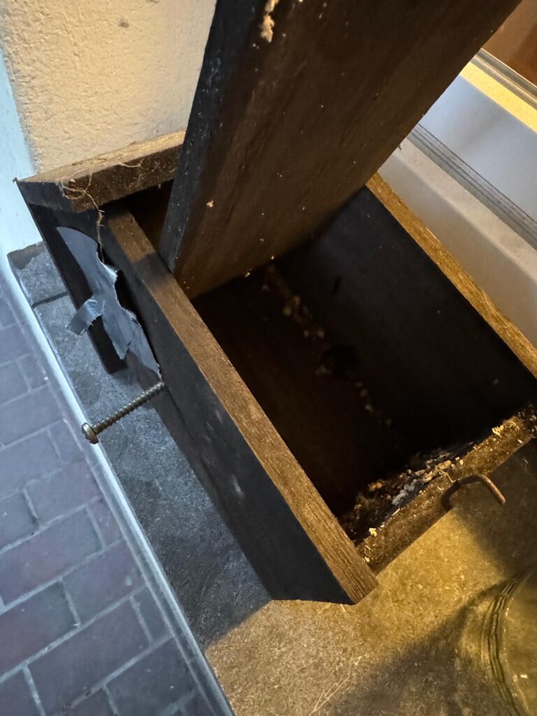 Nestentfernung – 25.05.2026