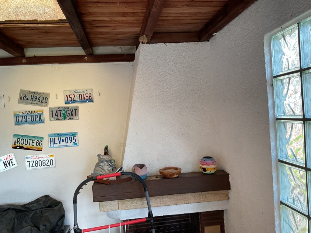 Nestentfernung – 31.05.2026
