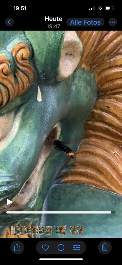 Nestentfernung – 20.06.2026
