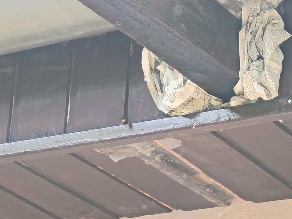 Nestentfernung – 26.06.2026