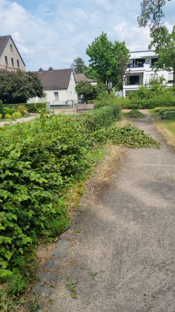 Nestentfernung – 30.06.2026