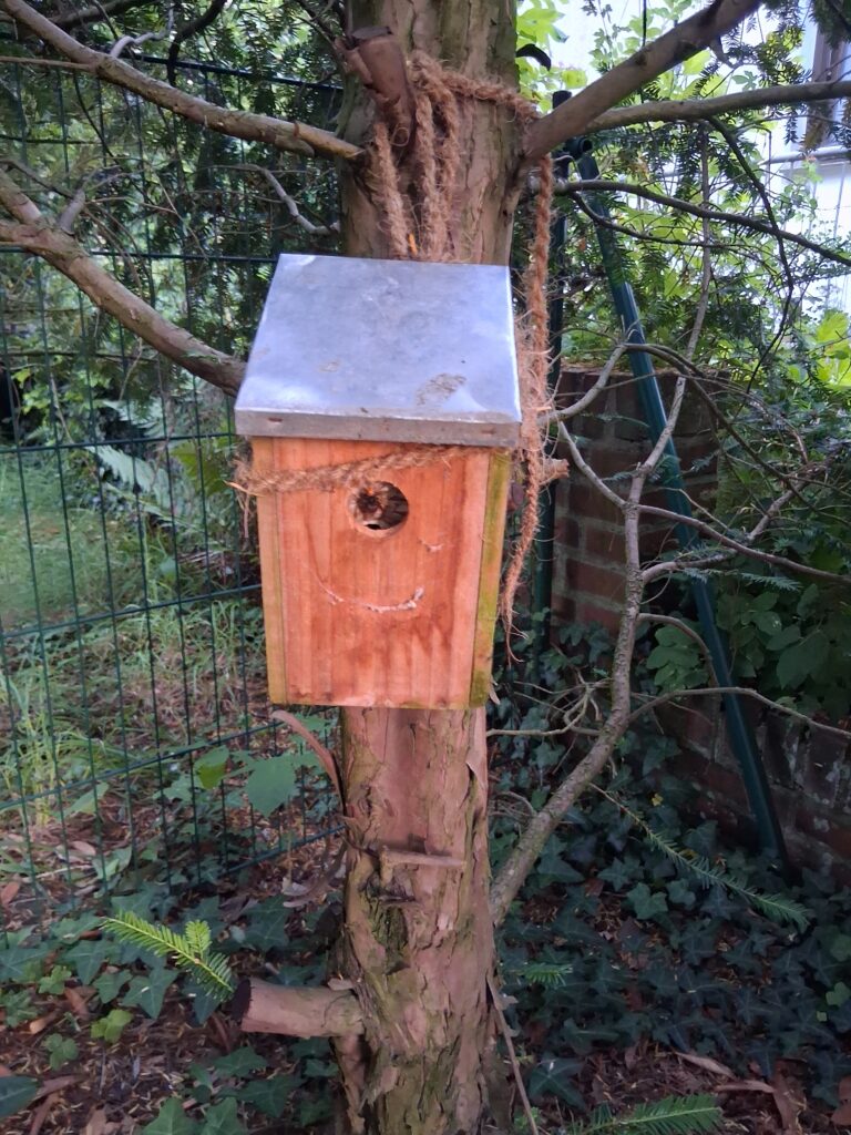 Nestentfernung – 30.06.2026
