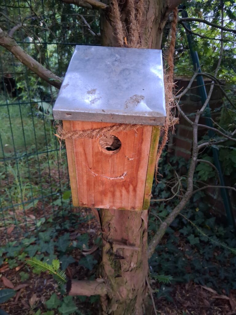 Nestentfernung – 30.06.2026