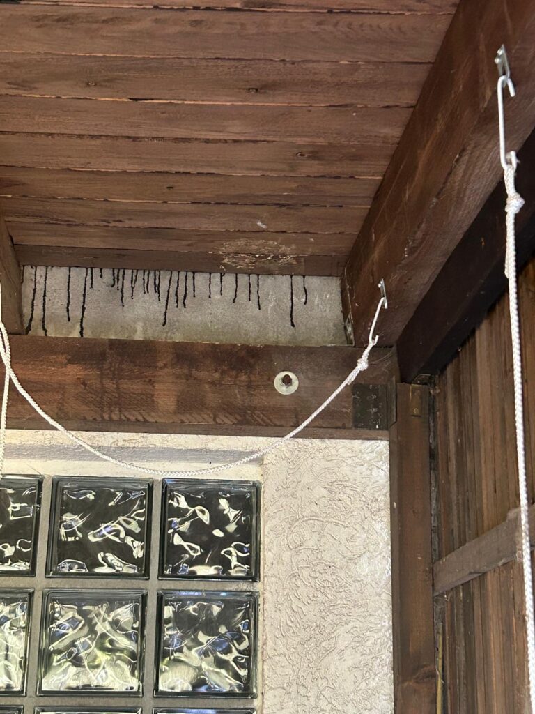 Nestentfernung – 09.07.2026