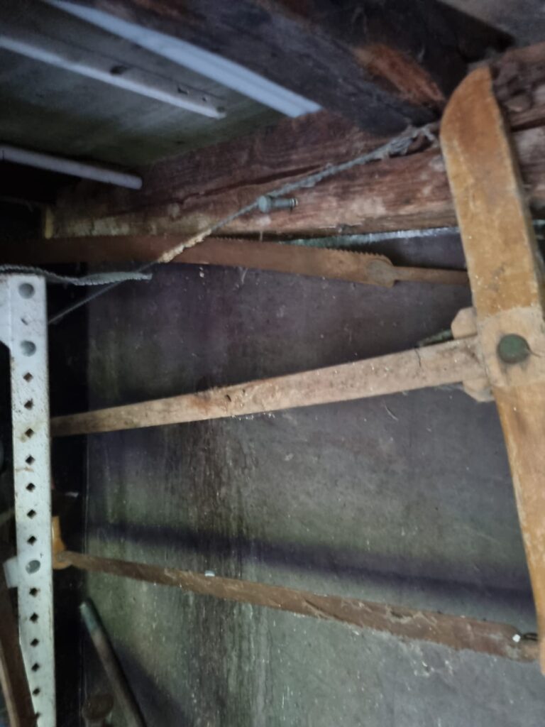 Nestentfernung – 14.07.2026