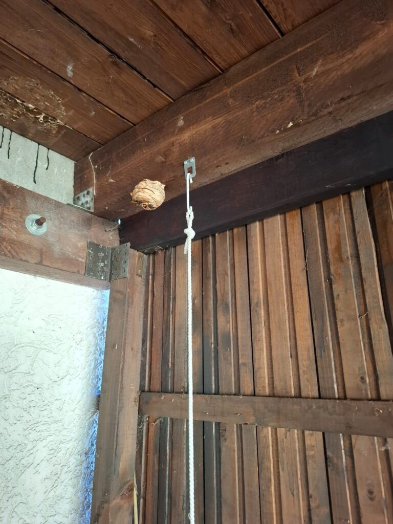 Nestentfernung – 15.07.2026