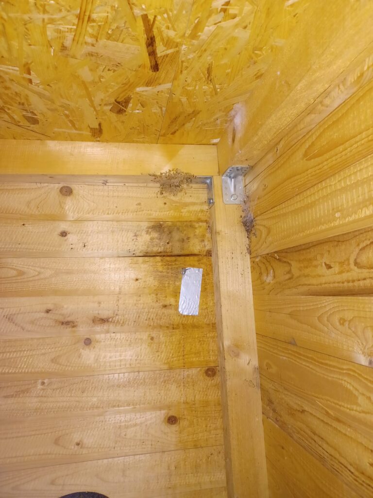 Nestentfernung – 27.07.2026
